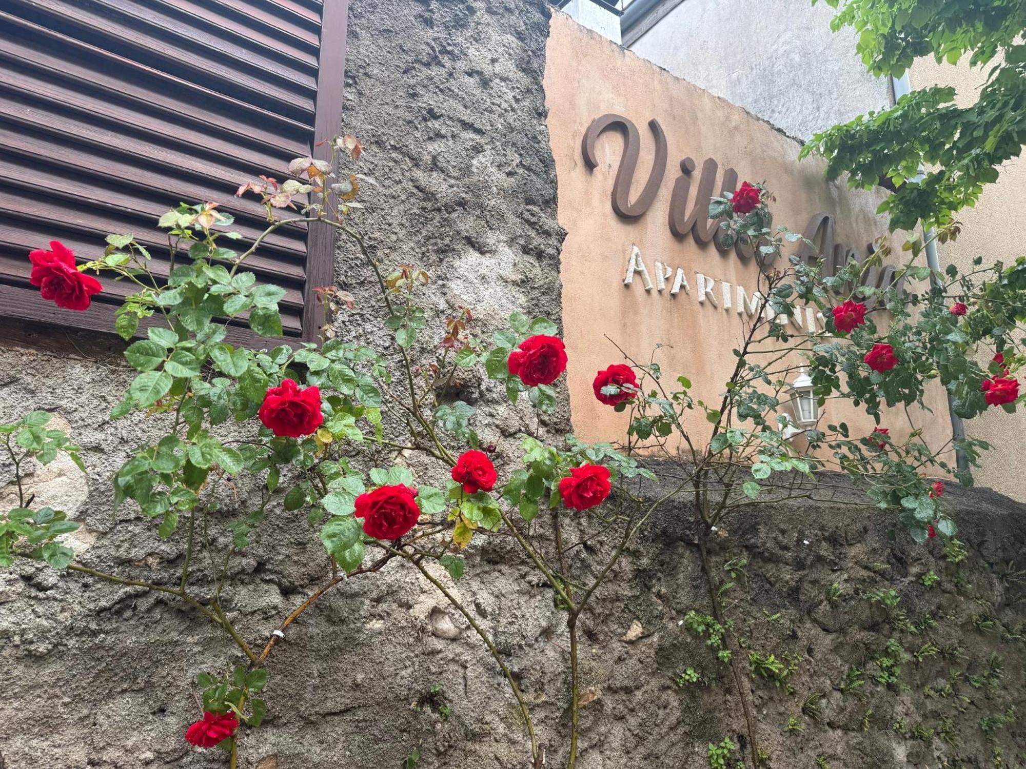 Villa Anja Apartments Mostar Ngoại thất bức ảnh